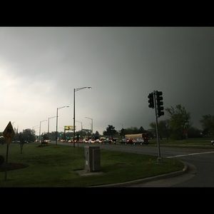 Meet your Posher, Bella